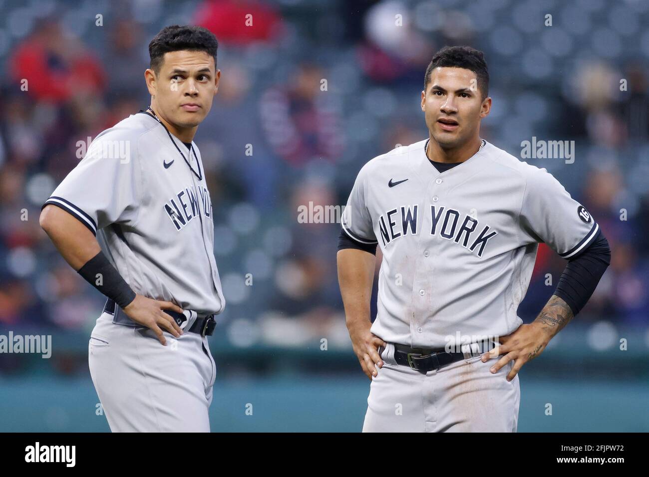 CLEVELAND, OH - APRIL 24: Gleyber Torres (25) und Gio Urshela (29) der New Yorker Yankees schauen bei einem Spiel gegen die Cleveland Indianer in Prog auf Stockfoto