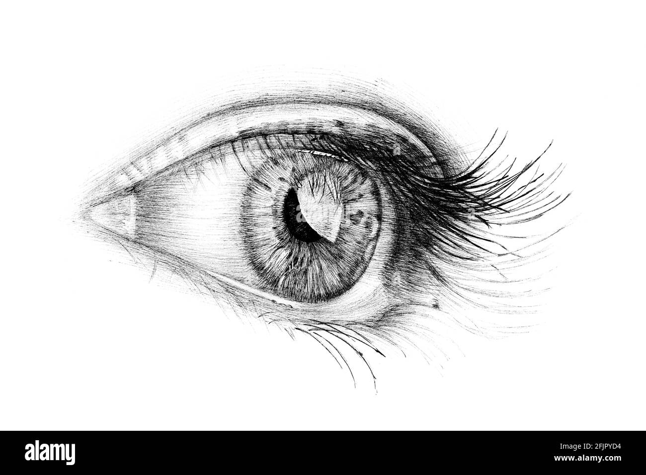 Zeichnung Skizze Auge Stockfotos und -bilder Kaufen - Alamy