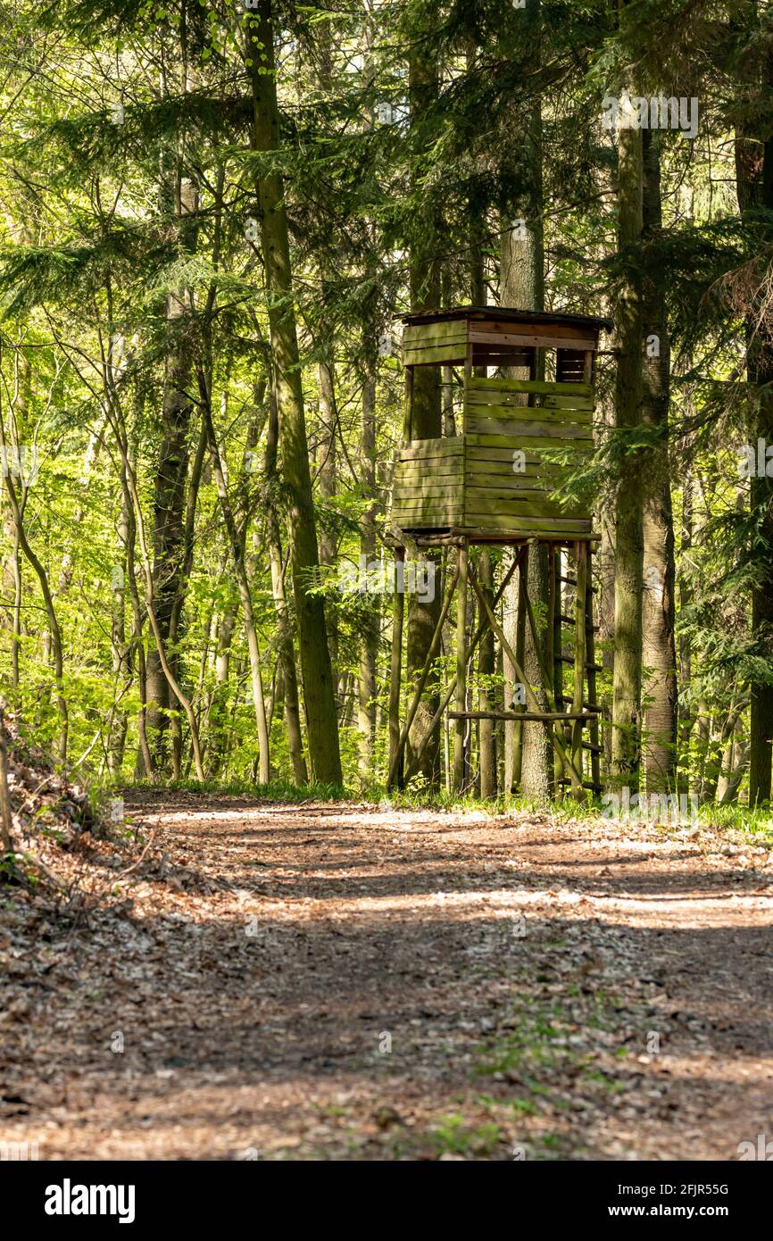 Hölzerner Huntsman-Hochsitz am Waldrand Mit grünem Hintergrund Stockfoto