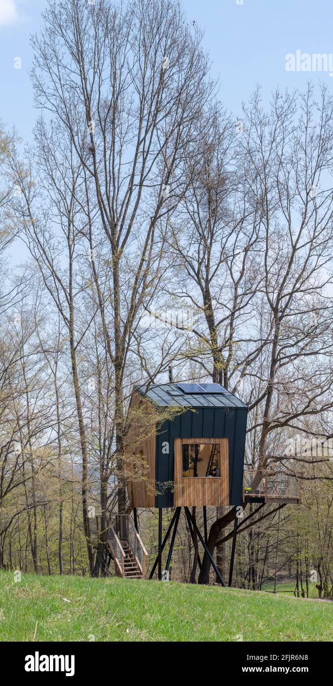 Holzhaus im Wald. Stockfoto