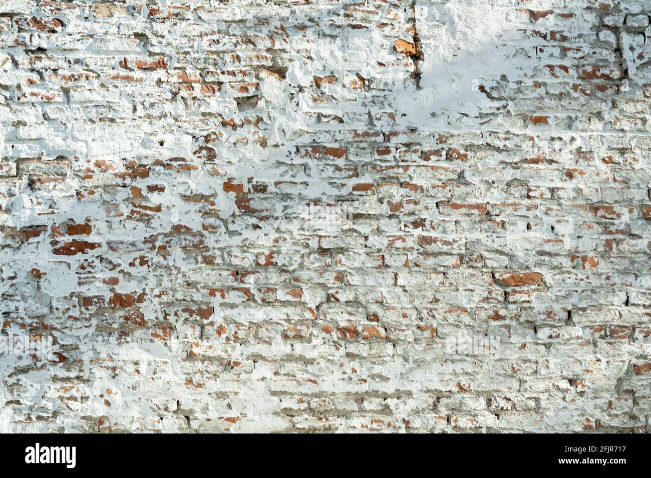 Eine weißgetünchte, grungige Ziegelwand mit den roten Ziegelsteinen, die an Orten im Sonnenlicht mit Schatten sichtbar sind. Stockfoto