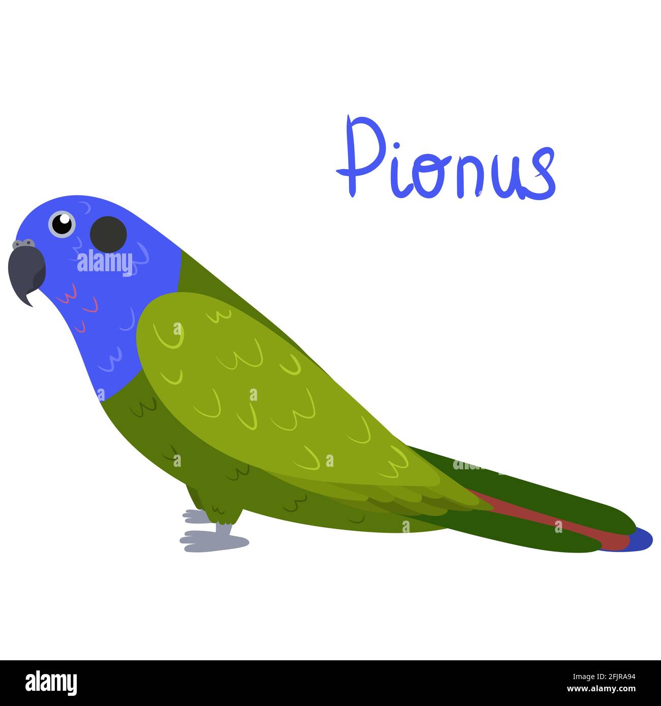 Pionus Papagei im Cartoon-Stil auf weißem Hintergrund. Vektorgrafik handgezeichnete Illustration. Pionus menstruus. Stock Vektor