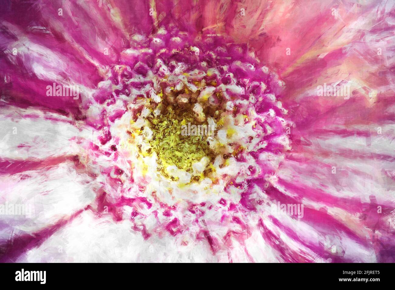 Pink Daisy malerische digitale Kunst, Wandkunst Stockfoto
