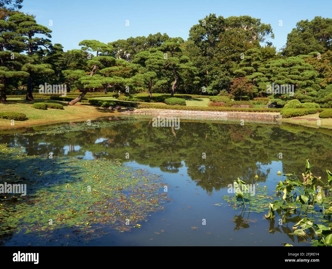 Teich Im Ninomaru-Garten In Fast Derselben Position Wie Der Ursprüngliche  Garten, Der Von Kobori Enshu Am Fuße Des Edo-Burghügels Entworfen Wurde.  Imperial P Stockfotografie - Alamy