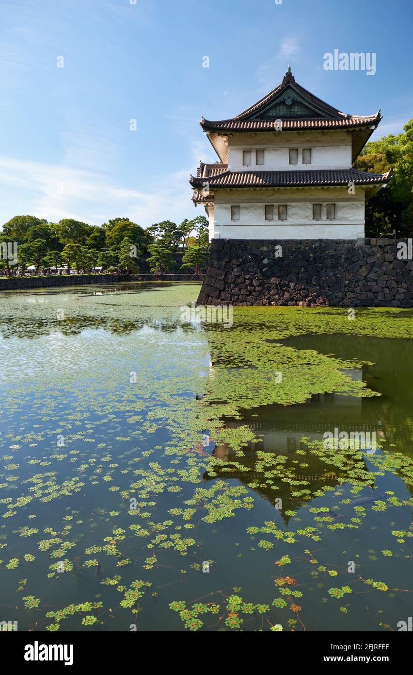 Der Kikyo-bori-Graben wuchs mit Wasserpflanzen um das Tokyo herum Außenwand des Kaiserpalastes mit der Edojo Sakurada Tatsumi Yagura Wachturm am Stockfoto