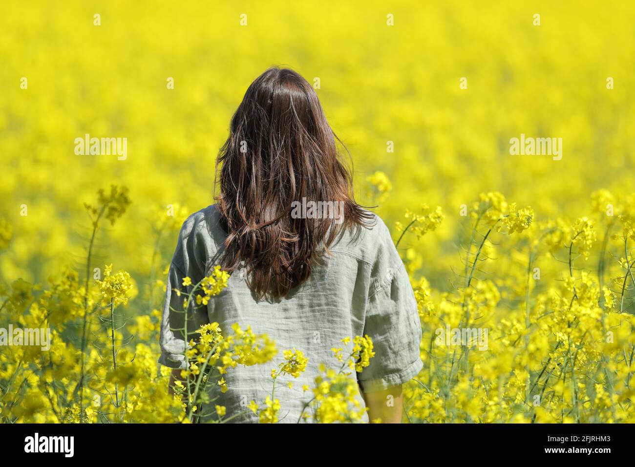 Rückansicht einer Frau, die in einem gelb blühenden Feld in der Frühjahrssaison Stockfoto