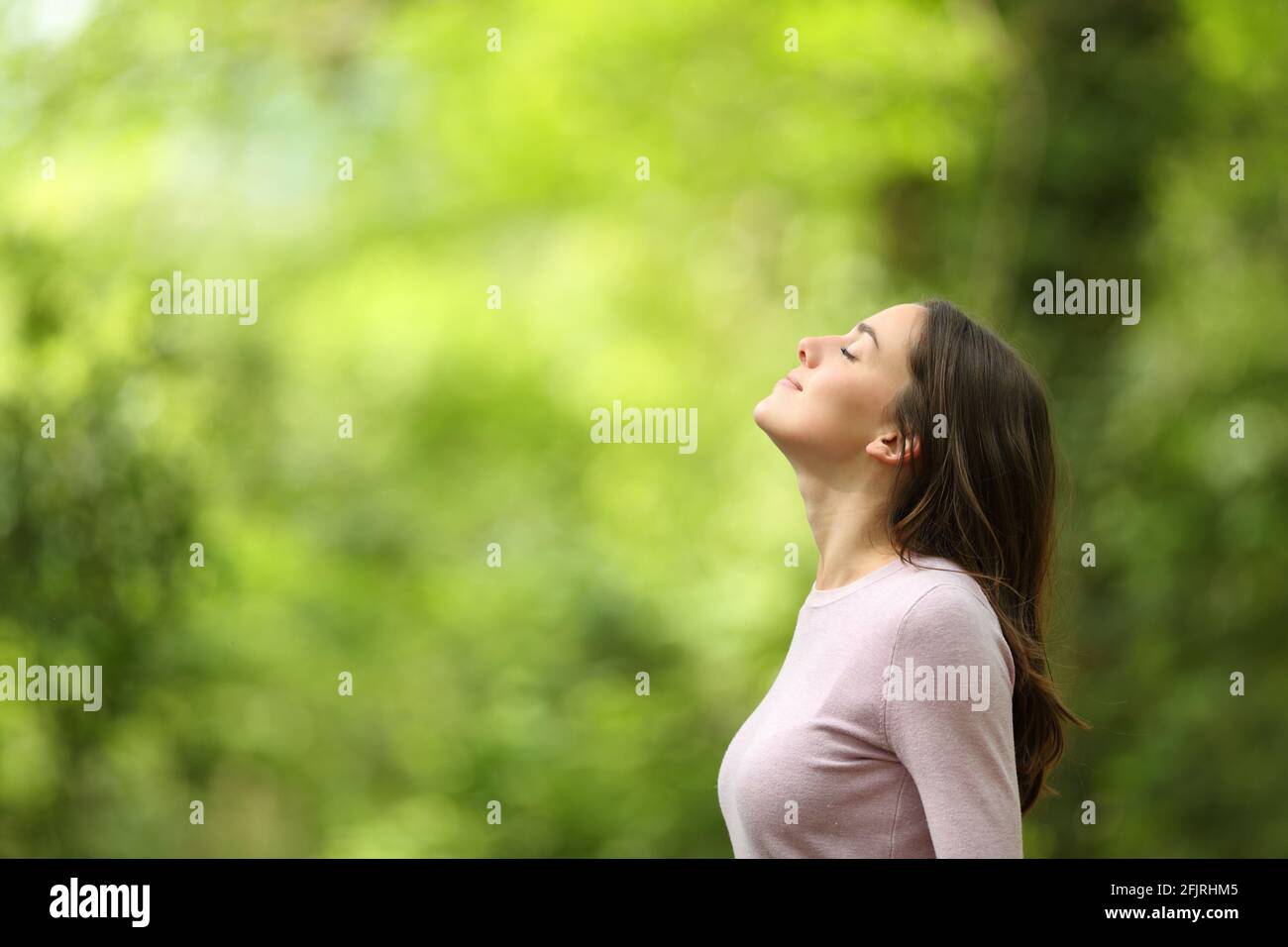 Profil einer entspannten Frau, die frische Luft in einem atmet Grüner Wald Stockfoto