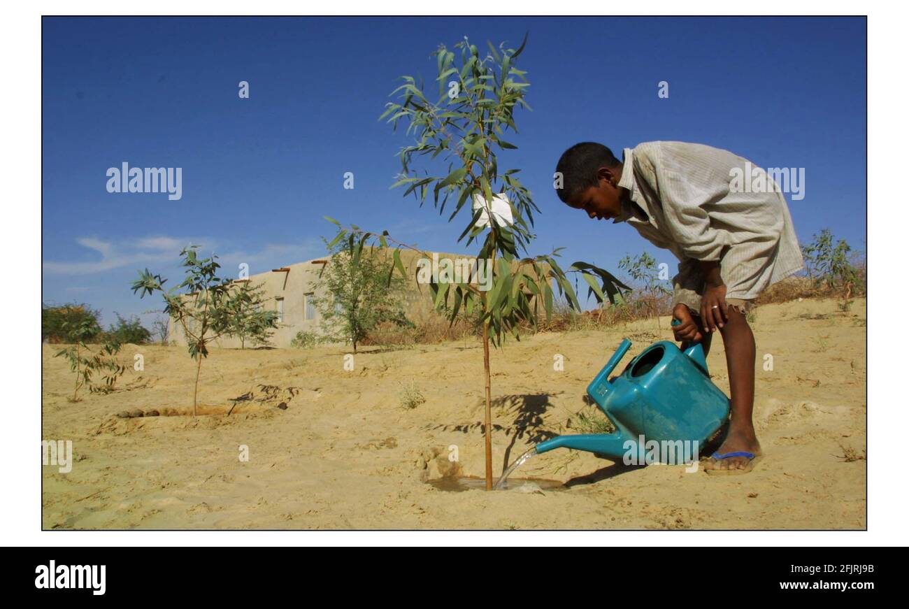 Der zwölfjährige Ali ag Hamey rpt Ali ag Hamey bewässert den Eukalyptuskeimling, den er vor seiner Schule in Bariz betreut, einem Dorf in der Nähe von Timbuktu in Mali, das vom Sand der Sahara bedroht ist.Foto von David Sandison 17/12/2002 Stockfoto