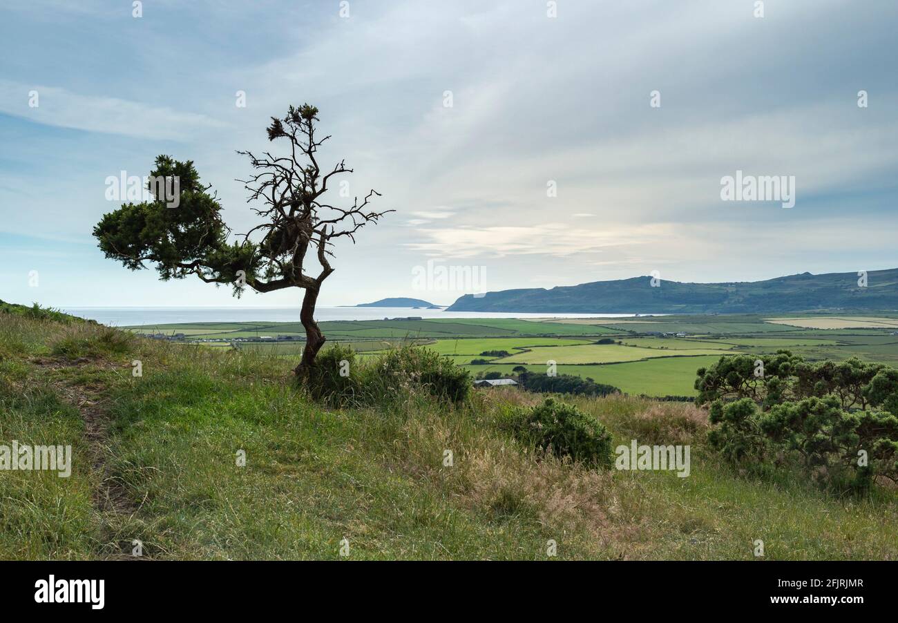 Blick auf die Bucht von Hell's Mouth von Pen-y-gaer Stockfoto