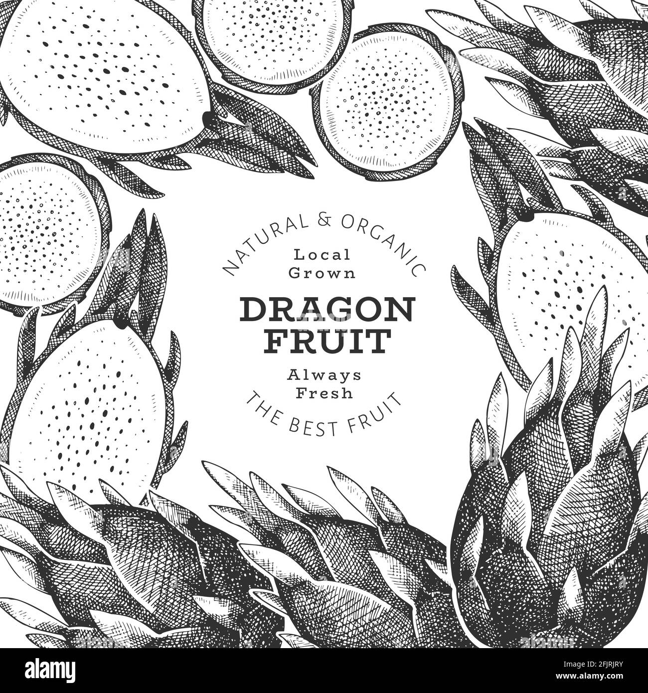 Handgezeichnete Drachenfrucht Designvorlage. Vektor-Illustration für Bio-frische Lebensmittel. Retro Pitaya Obst Banner. Stock Vektor