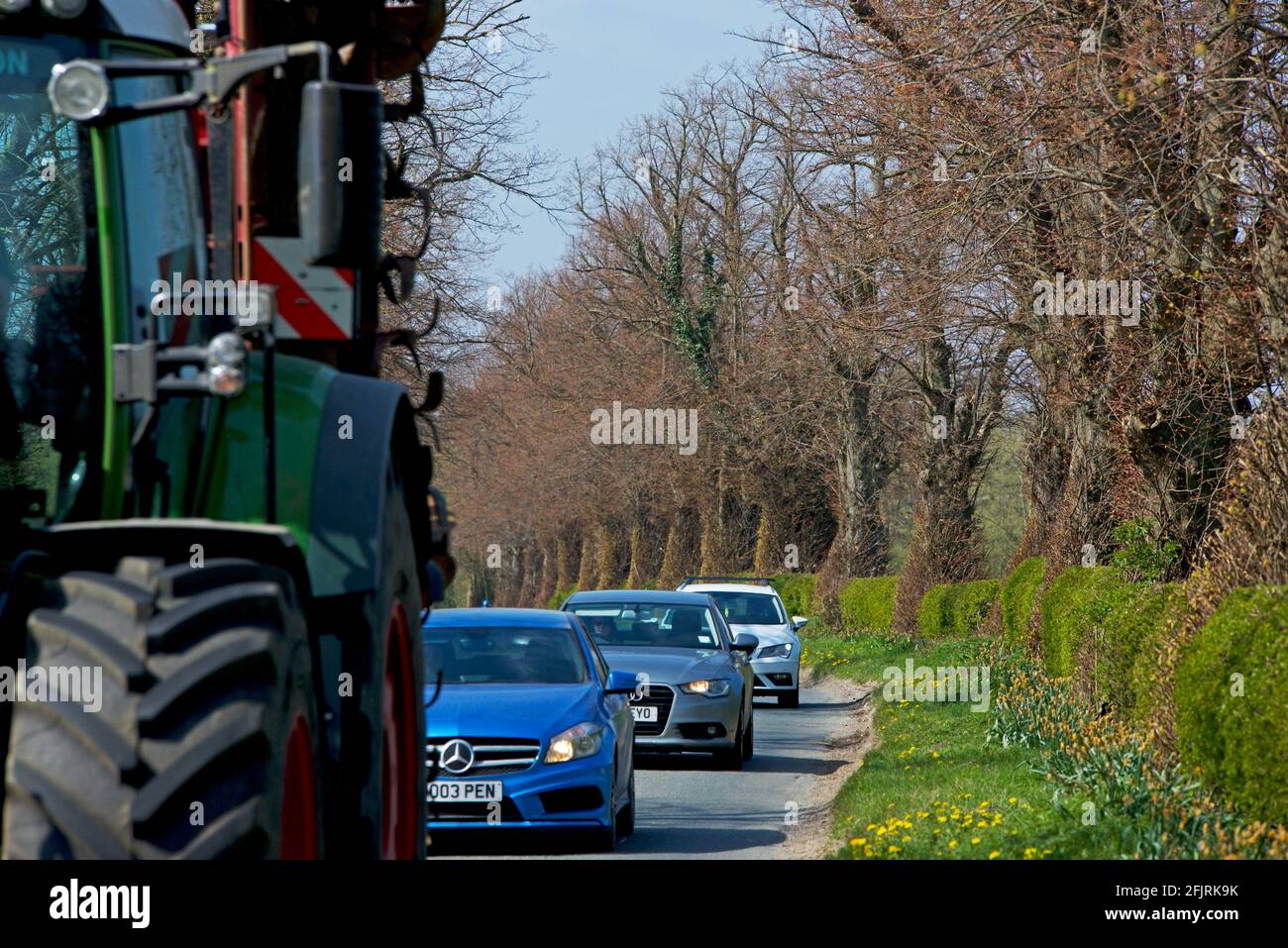 Traktor, der den Verkehr auf einer von Bäumen und Hecken gesäumten Straße in der Nähe von Ulleskelf, North Yorkshire, England, hält Stockfoto