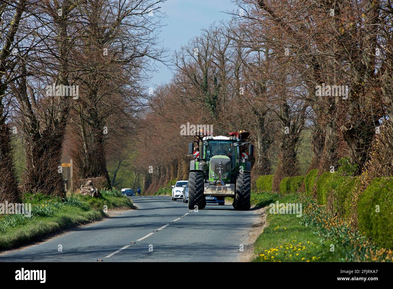 Traktor, der den Verkehr auf einer von Bäumen und Hecken gesäumten Straße in der Nähe von Ulleskelf, North Yorkshire, England, hält Stockfoto