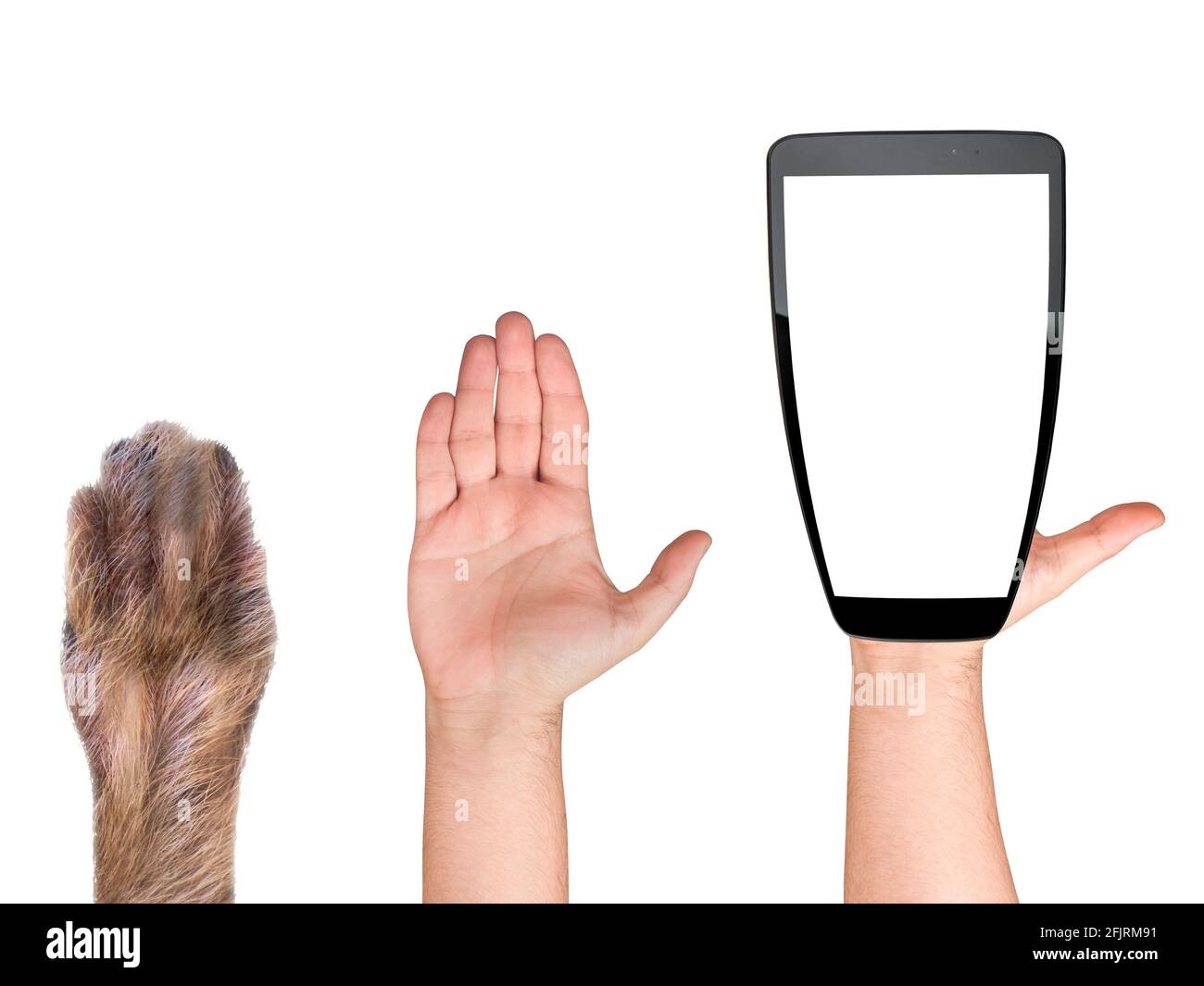 Nahaufnahme Evolution der Hand vom Tier zum Smartphone oder Handy isoliert auf Weiß. Konzept, wie Technologie die menschliche Art veränderte Stockfoto