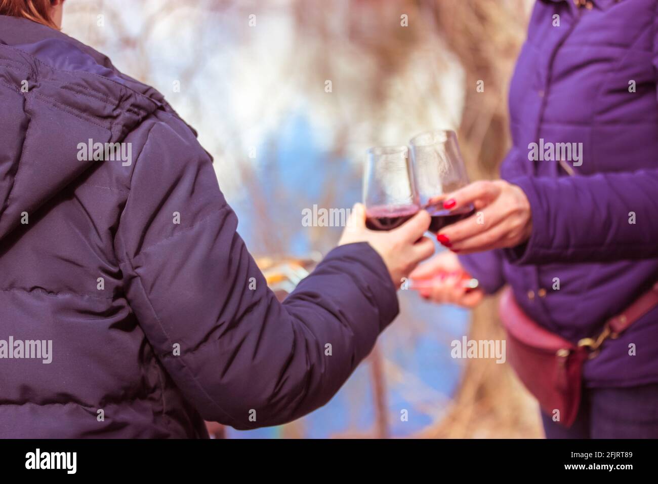 Klirrende Weingläser. Zwei unkenntliche Frauen hoben Gläser mit Rotwein und rösten. Erholung in der Natur im Frühling. Freunde trinken Alkoh Stockfoto