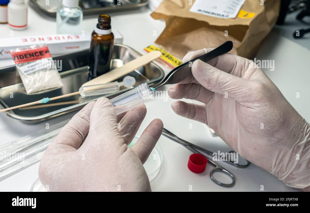 Polizeiwissenschaftler hält Drogen-Positivabstrich, Kriminallabor, Konzeptbild Stockfoto