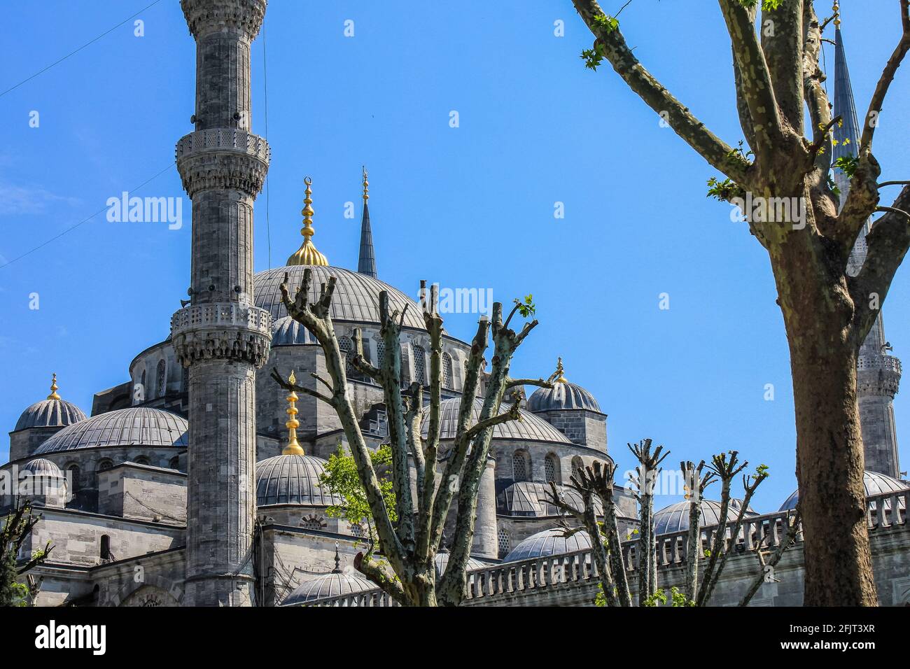 Blick auf die Blaue Moschee an einem sonnigen Tag Stockfoto