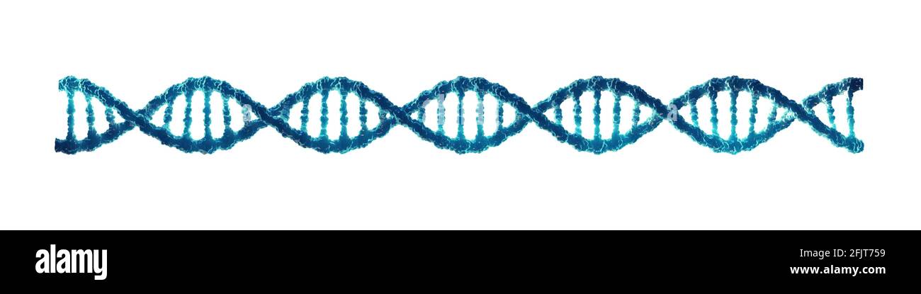 Doppelhelix-DNA-Molekül auf weißem Hintergrund isoliert. Molekulargenetik und Gentechnik. Stockfoto