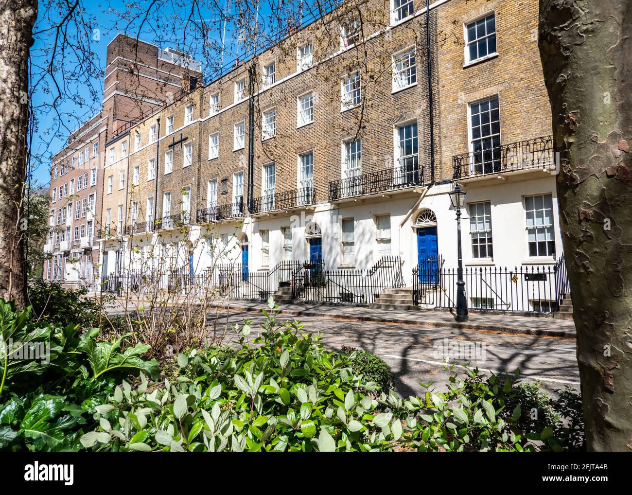 Georgianische Reihenhäuser, London. Ein heller Blick auf eine Reihe typischer Londoner Stadthäuser in einer ruhigen Straße ohne Verkehr oder geparkte Autos. Stockfoto