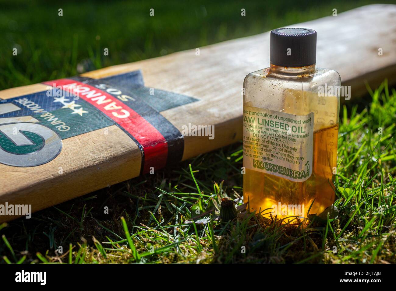 Vorbereitung für eine neue Cricket-Saison, Kaloam, Lehm, Leinöl, Ölen einer Cricket-Schläger, Dorf Cricket, Roh Leinöl ein traditionelles Öl zur Ernährung Stockfoto