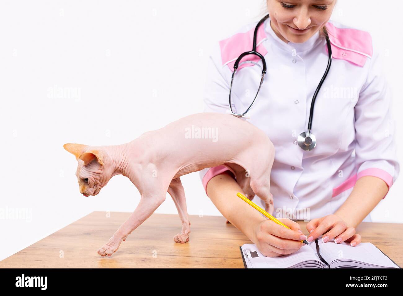 Der glückliche Moment eines Tierarztes, der beim Schreiben des positiven Ergebnisses nach der Untersuchung der Sphinx-Katze angenehm lächelt. Das Konzept der effektiven Stockfoto