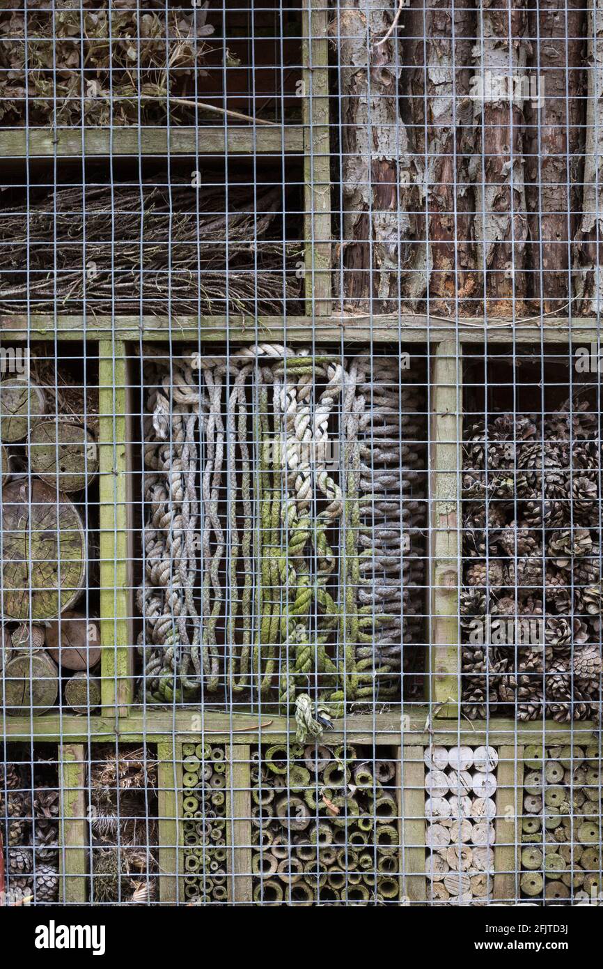 Insekten Box für Garten Tierwelt, Pensthorpe, Norfolk, Großbritannien Stockfoto