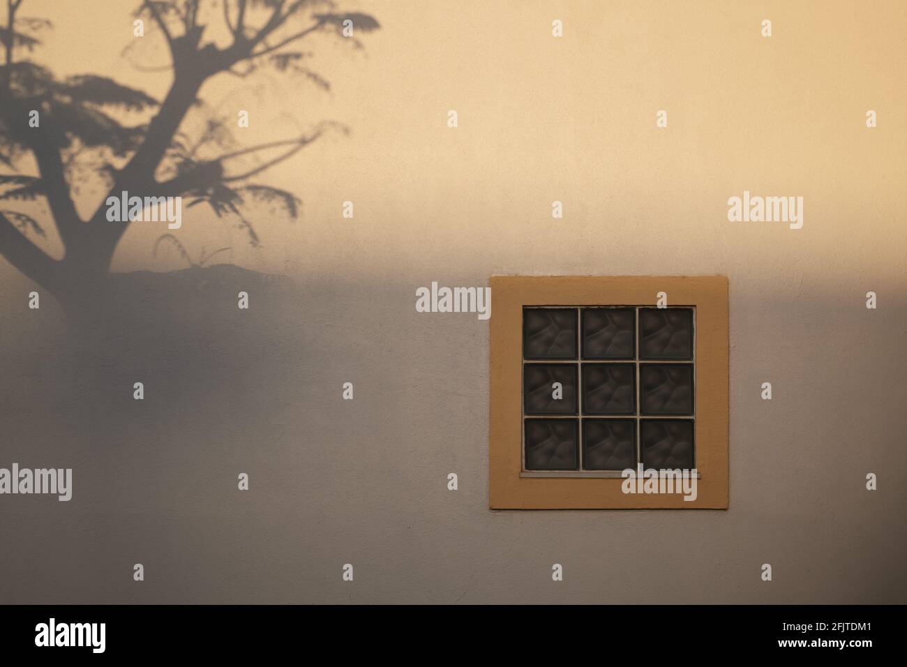 Baumschatten auf einer Fensterwand Stockfoto