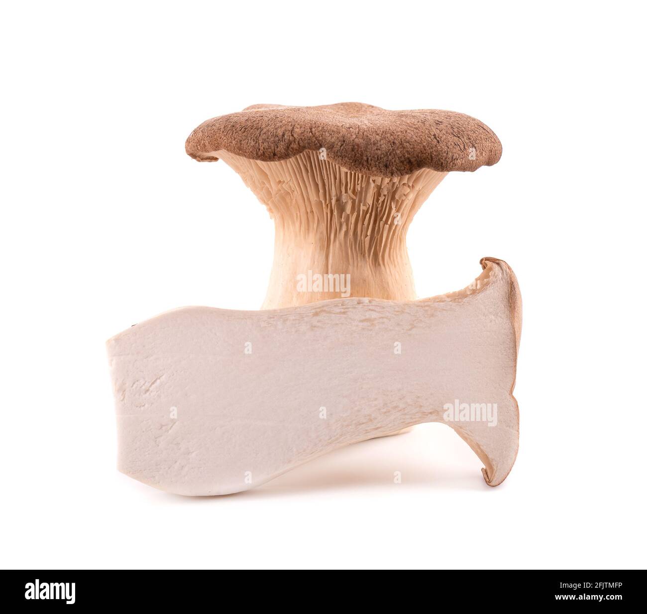 König Austernpilz isoliert auf weißem Hintergrund. Pleurotus eryngii Pilz. Stockfoto