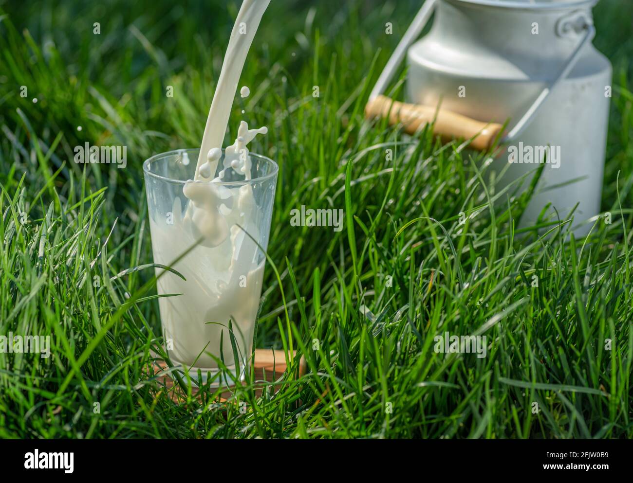 Gießen Sie frische Milch in Glas. Glas ist auf dem grünen Gras an sonnigen Sommertagen. Stockfoto