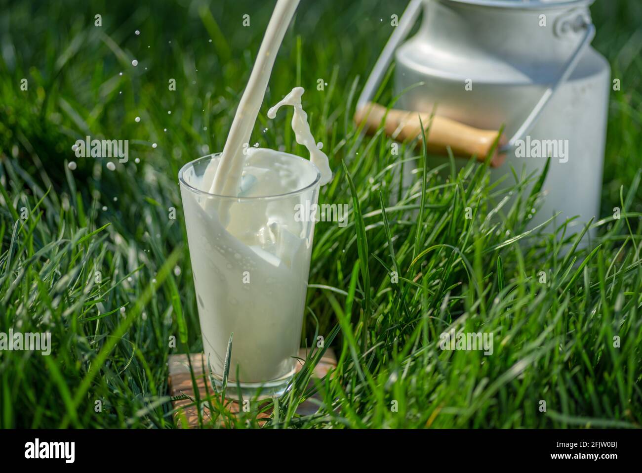 Gießen Sie frische Milch in Glas. Glas ist auf dem grünen Gras an sonnigen Sommertagen. Stockfoto