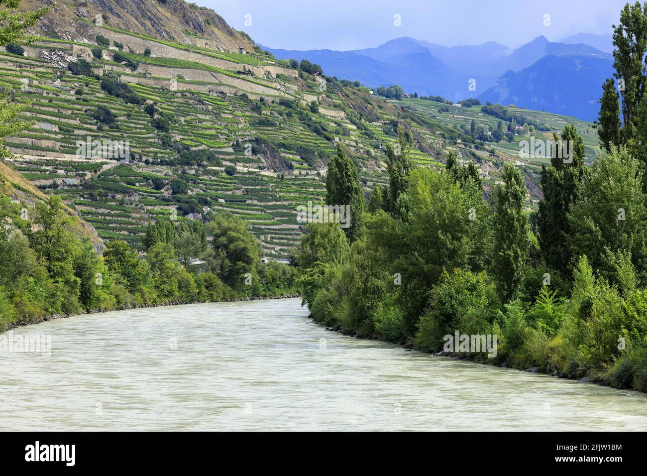 Schweiz, Kanton Wallis, Sion, Fluss Le Rhone, Walliser Weinberge Stockfoto