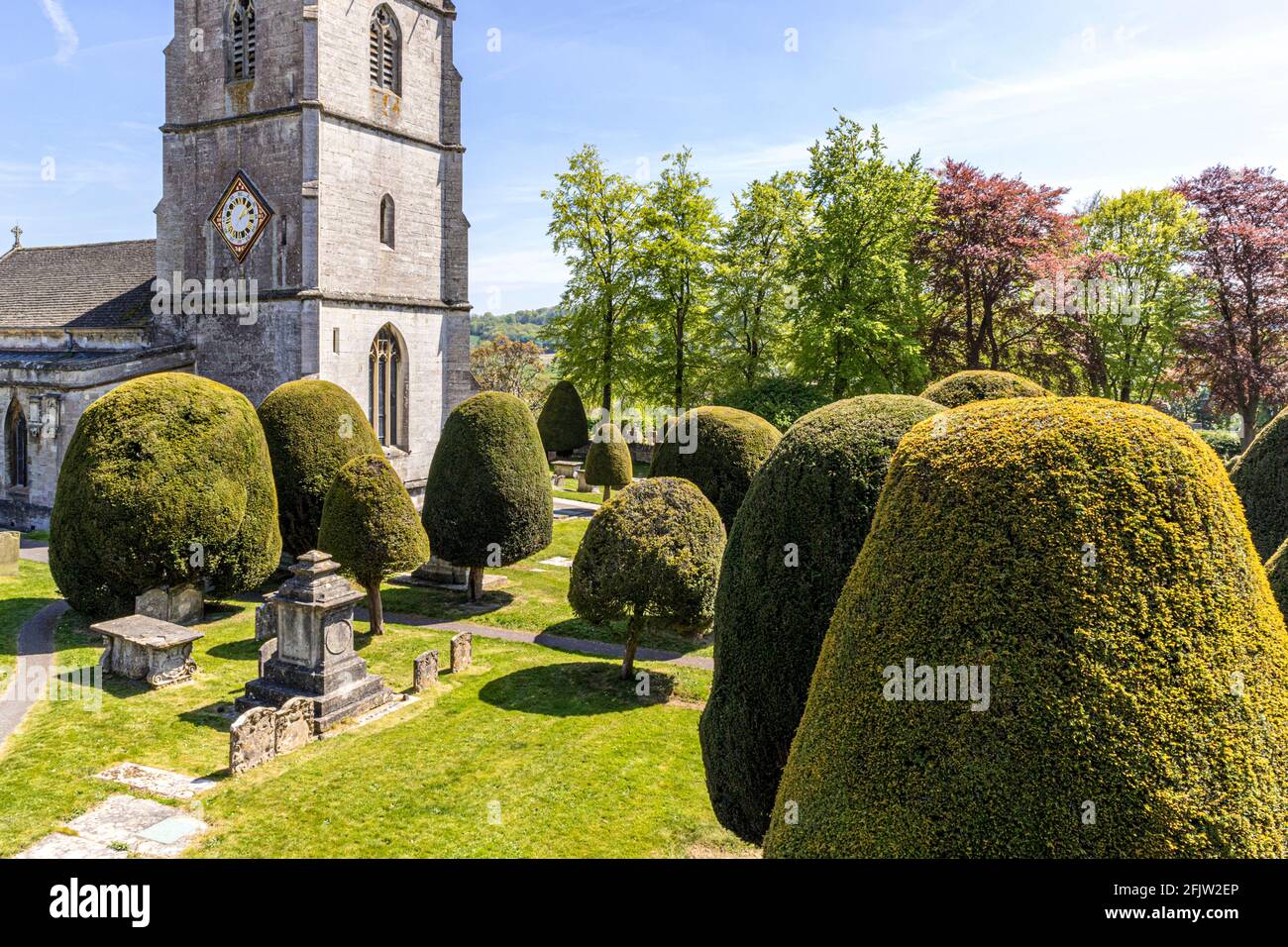 St Marys Kirche mit einigen seiner 99 Eibenbäume in der Cotswold Dorf Painswick, Gloucestershire UK Stockfoto