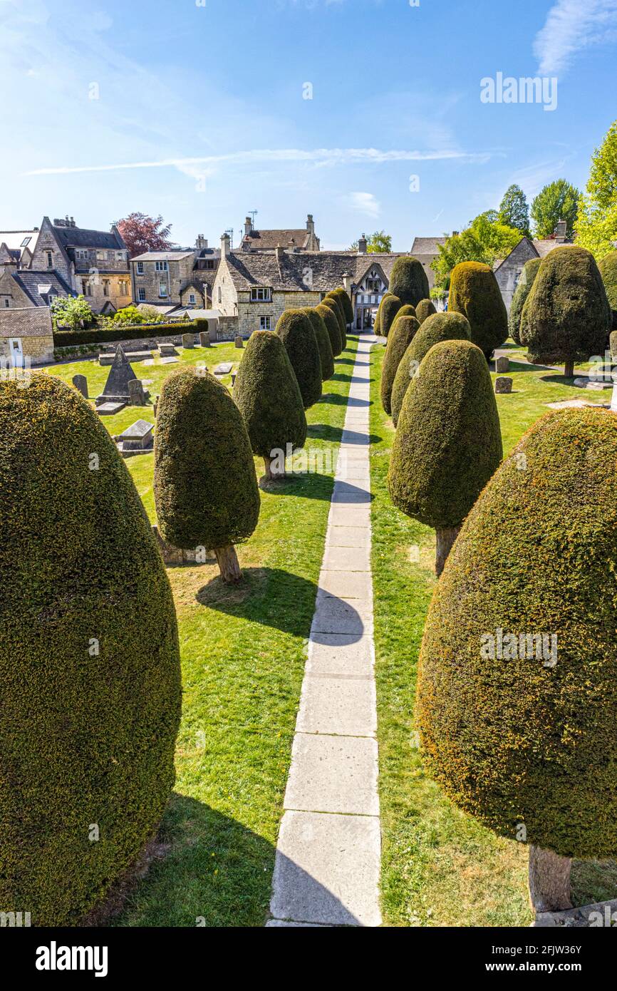 St Marys Kirchhof mit einigen seiner 99 Eibenbäume im Cotswold-Dorf Painswick, Gloucestershire, Großbritannien Stockfoto