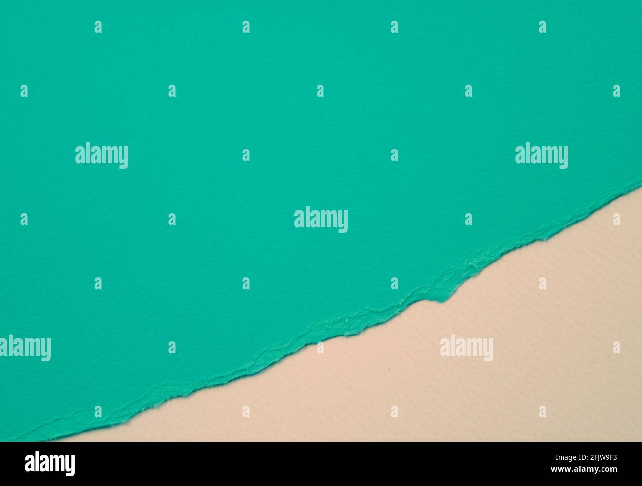 Neutrales Pastellgrün, oder Farbe genannt persisches Grün zerrissenes Papier und grauer Hintergrund. Duotone Farben Textur abstrakten Hintergrund. Stockfoto