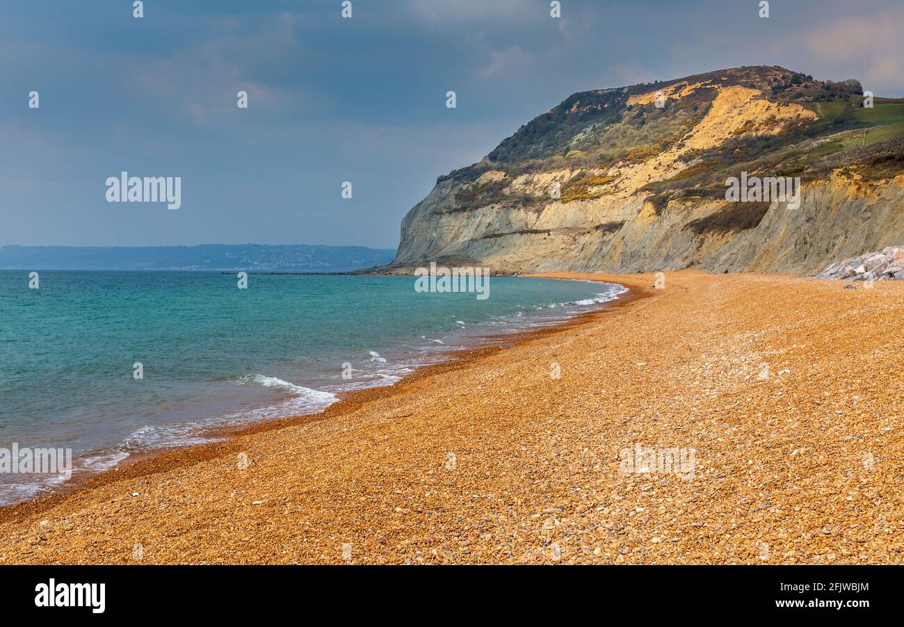 Golden Cap am Kiesstrand von Seatown, Dorset, England Stockfoto