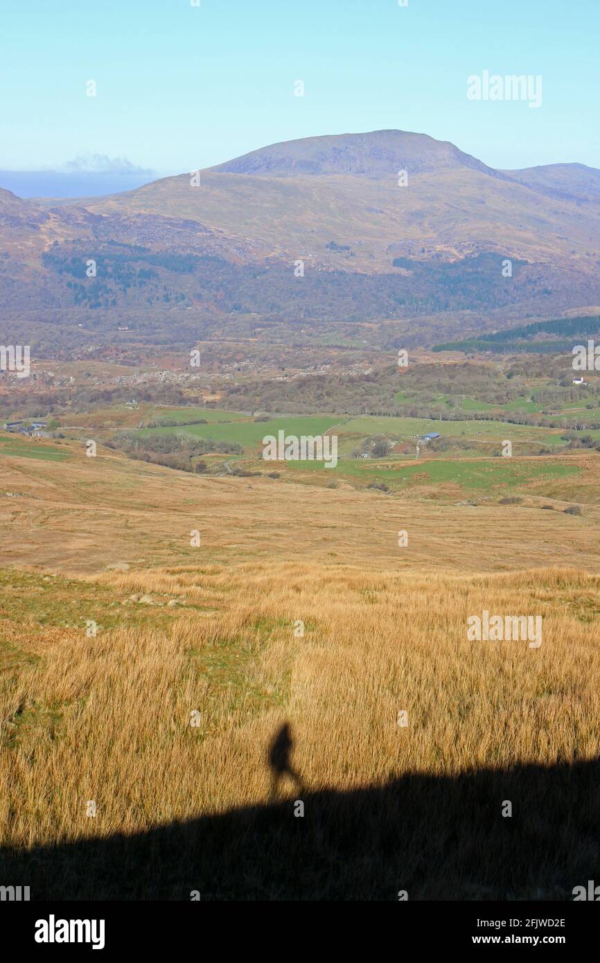Schatten eines Wanderers auf dem Weg nach Moelwyn Bach mit Blick auf Moel Hebog, Croesor, Wales Stockfoto