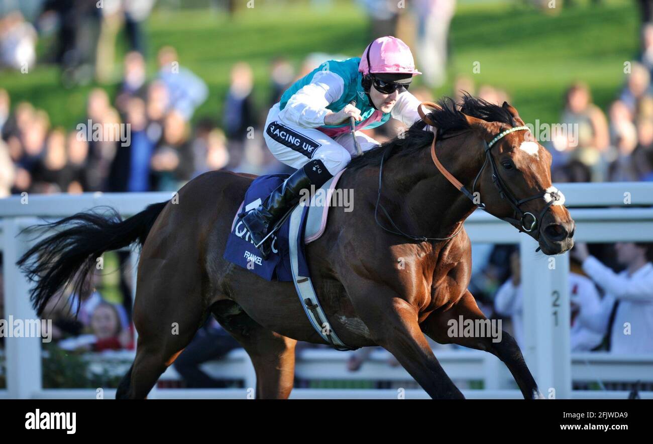 ASCOT RENNEN DIE KÖNIGIN ELIZABETH 2ND EINSÄTZE TOM QUEALLY AUF FRANKEL AUF SEINEM WEG ZUM SIEG. 15/10/11 BILD DAVID ASHDOWN Stockfoto