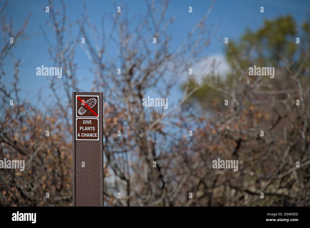 Geben Sie den Pflanzen ein Schild, das Wanderer davor warnt, sich außerhalb der Vegetation zu befinden, damit sie nachwachsen können, nachdem sie von Menschen, die weggehen, mit Füßen getreten wurden Stockfoto