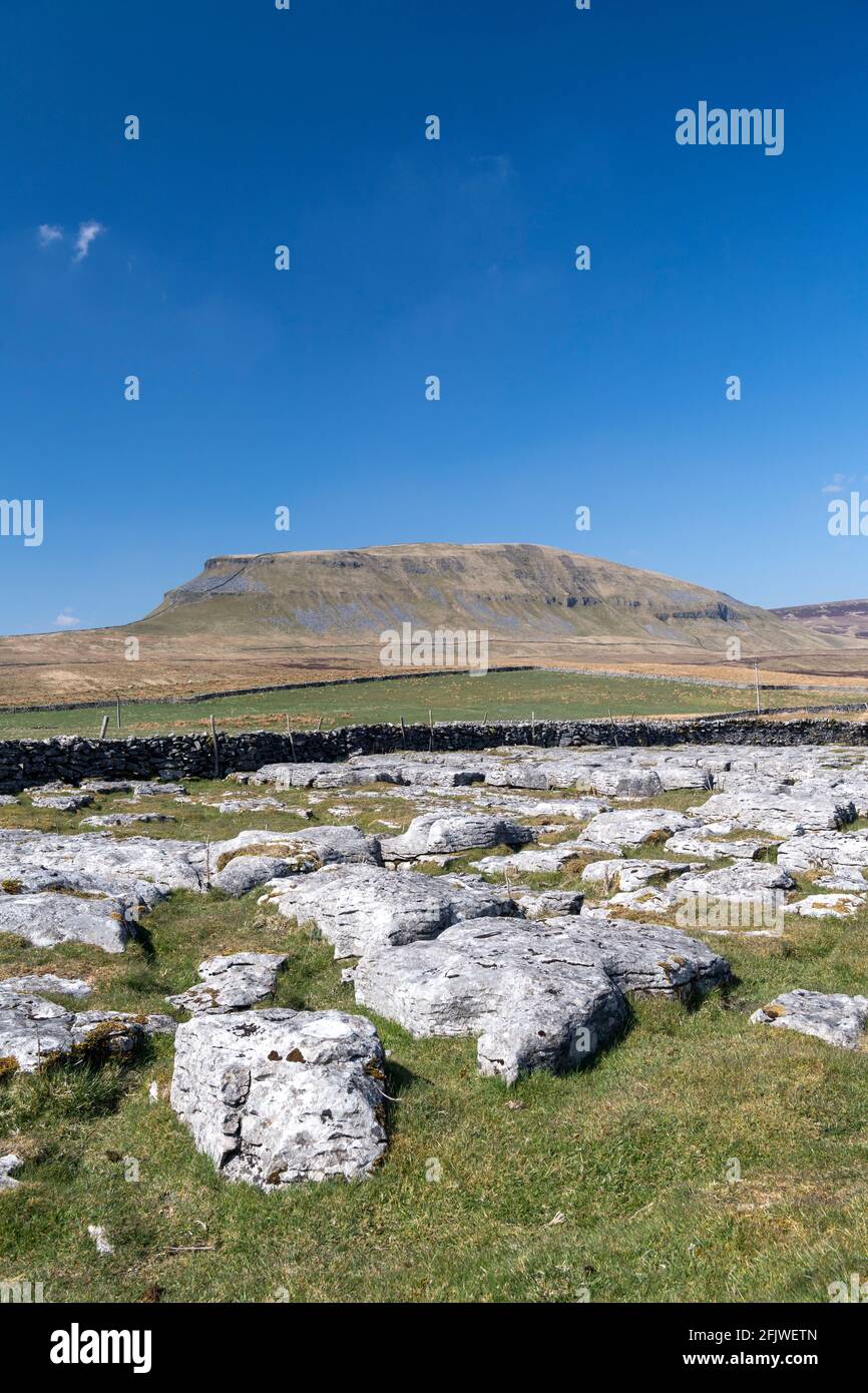 Kalksteinpflaster am Rande von Penyghent fiel von Silverdale Road auf Fountains Fell im Frühjahr. North Yorkshire, Großbritannien. Stockfoto