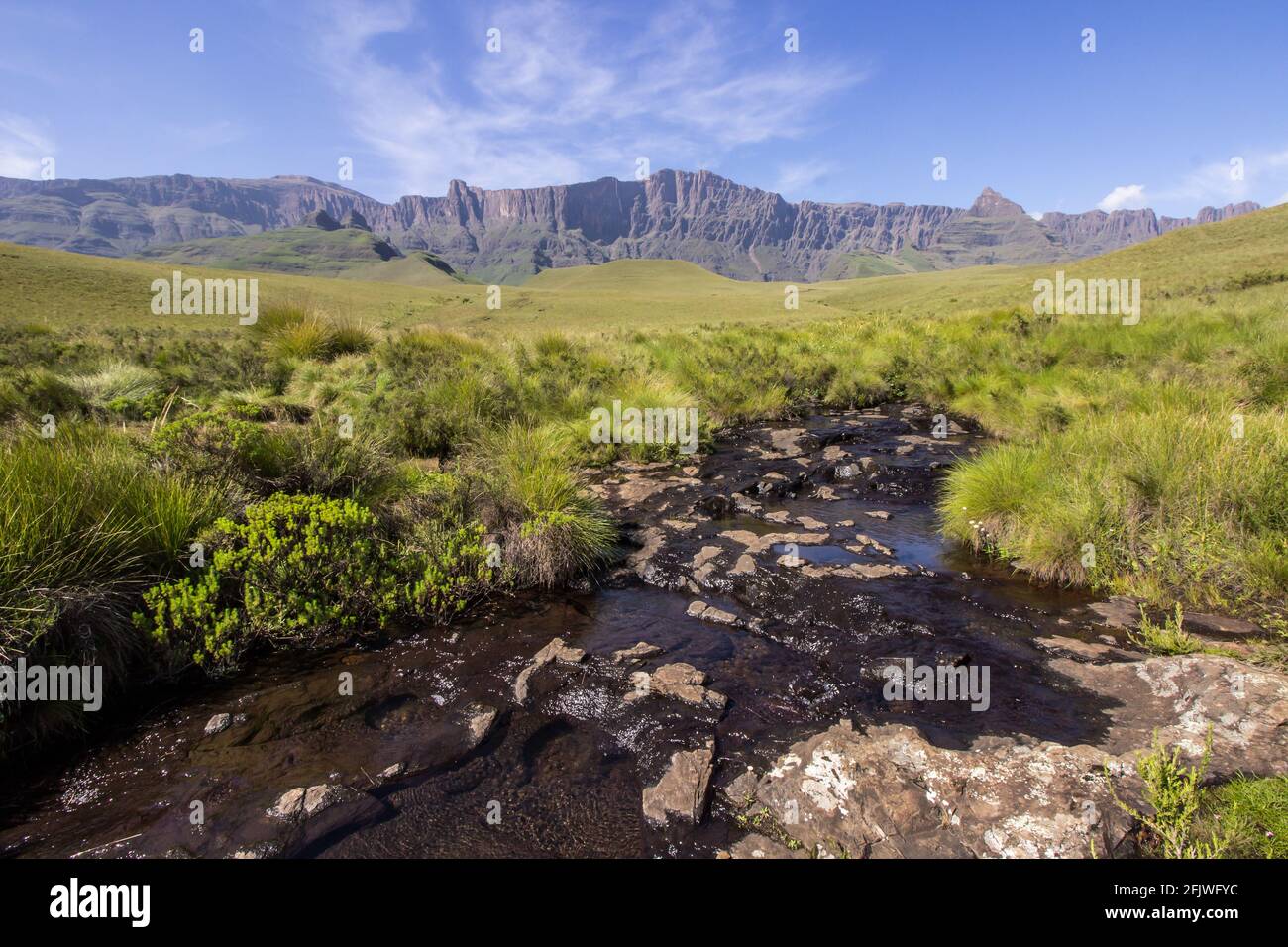 Ein Gebirgsbach, mit den schroffen Basaltklippen der oberen Drakensberg Mountains, Südafrika, im Hintergrund. Stockfoto