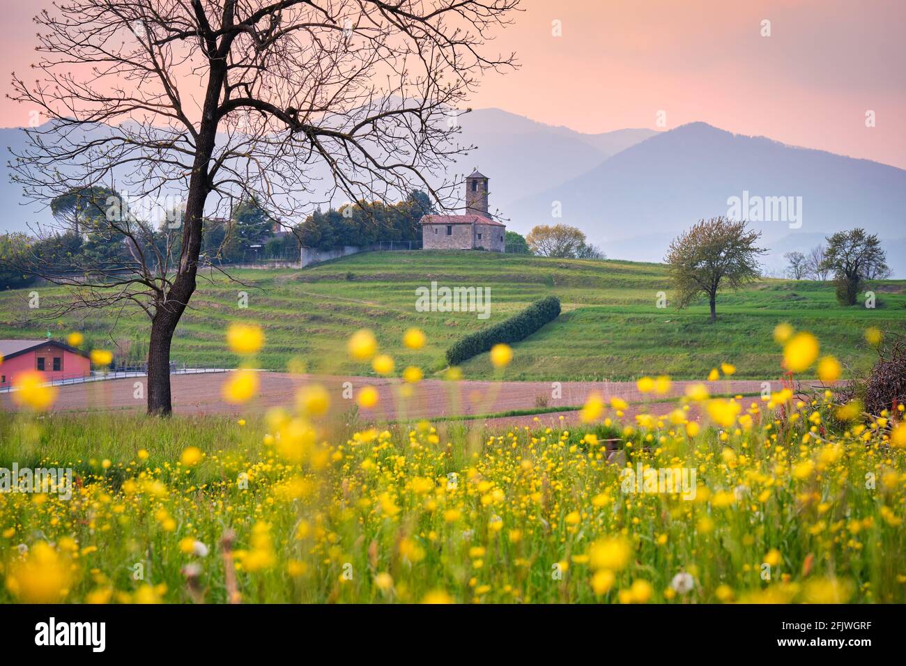 Landschaft im Frühling mit gelben und weißen Blumen und einer kleinen alten Kirche, Kloster Garbagnate, Lecco, Lombardei, Italien Stockfoto