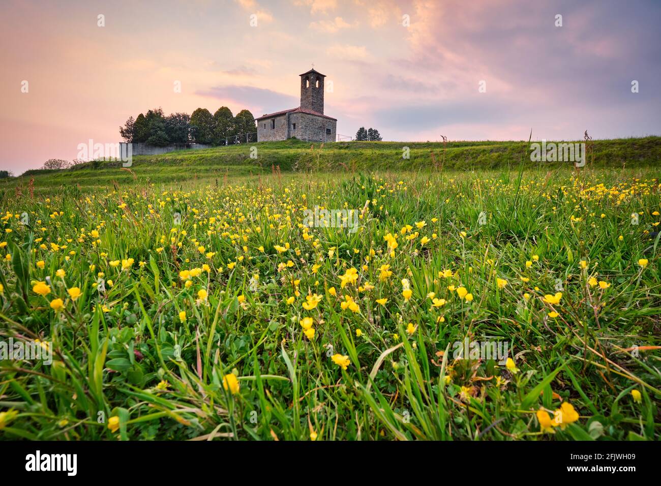 Landschaft im Frühling mit gelben Blumen und einer kleinen alten Kirche, Kloster Garbagnate, Lecco, Lombardei, Italien Stockfoto