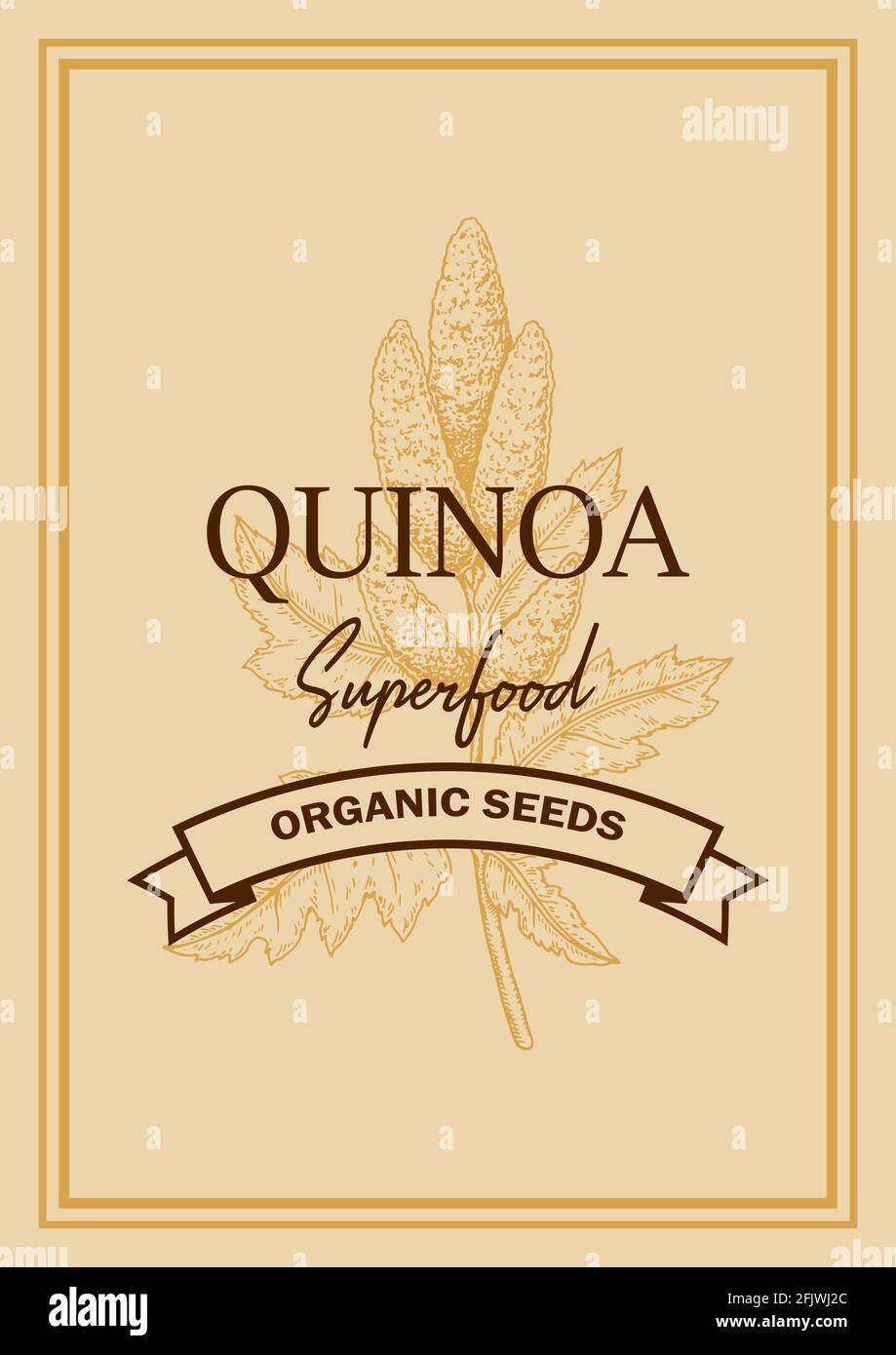 Quinoa-Verpackungsdesign mit handgezogenem Element. Vektorgrafik im Skizzenstil Stock Vektor