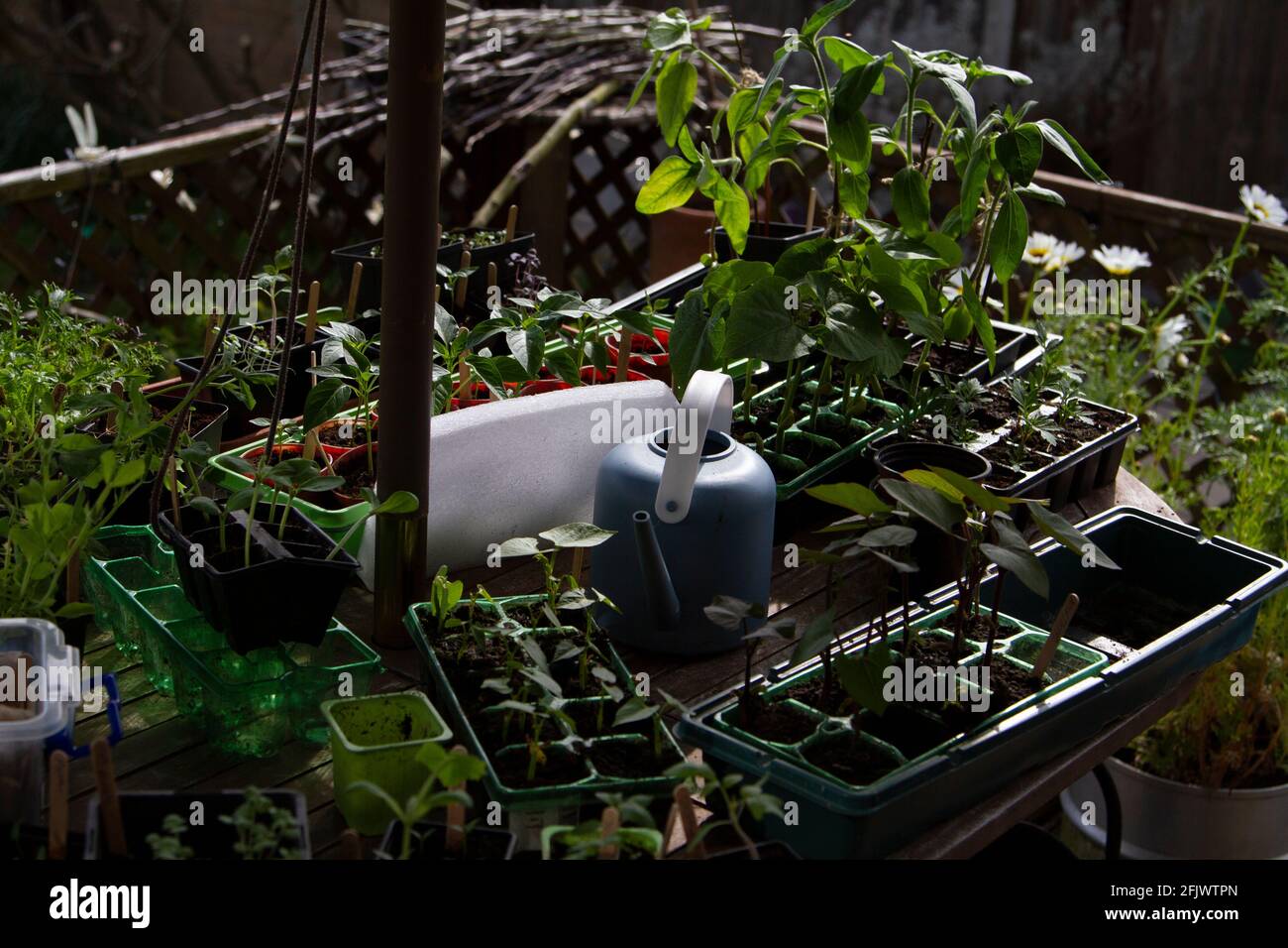 Vorbereitungen im Frühlingsgarten Stockfoto