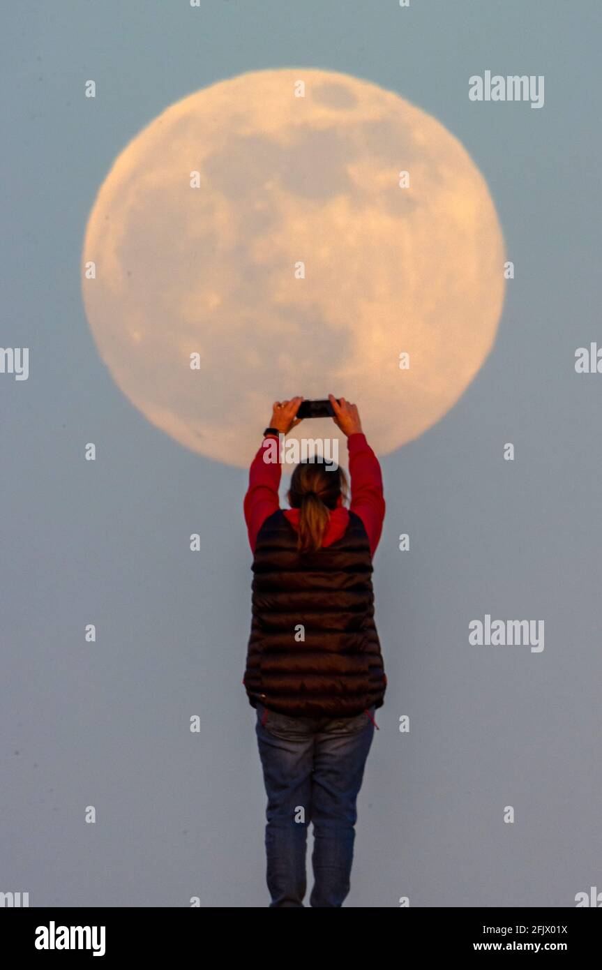 New Forest, Hampshire. April 2021. Wetter in Großbritannien. Eine Frau fotografiert den Full Pink Super Moon, der über Lyndhurst im New Forest aufsteigt. Credit Stuart Martin/Alamy Live News Stockfoto