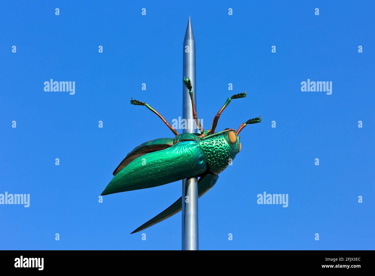 Käfer Totem (2004) von dem weltberühmten belgischen Künstler Jan Fabre (geboren 1958) in Leuven/Louvain, Belgien Stockfoto