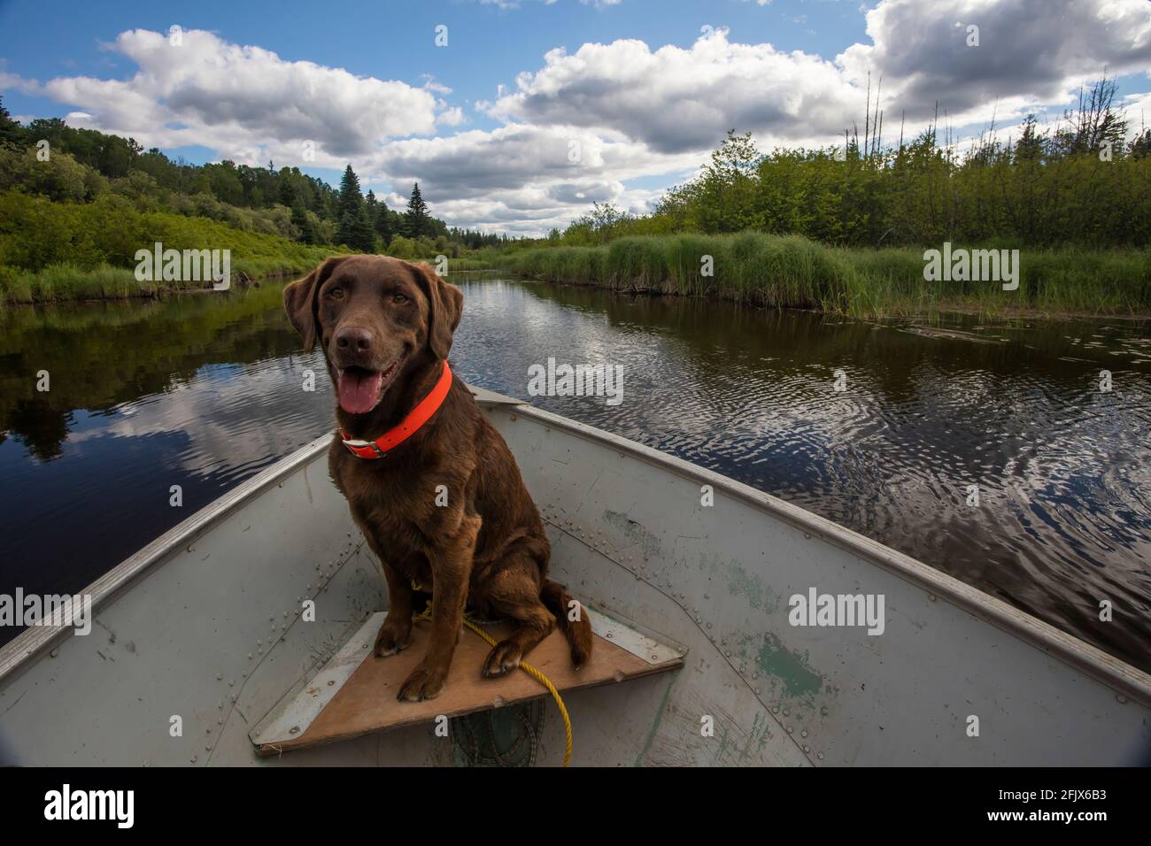 Hudson Bay, Saskatchewan Stockfoto