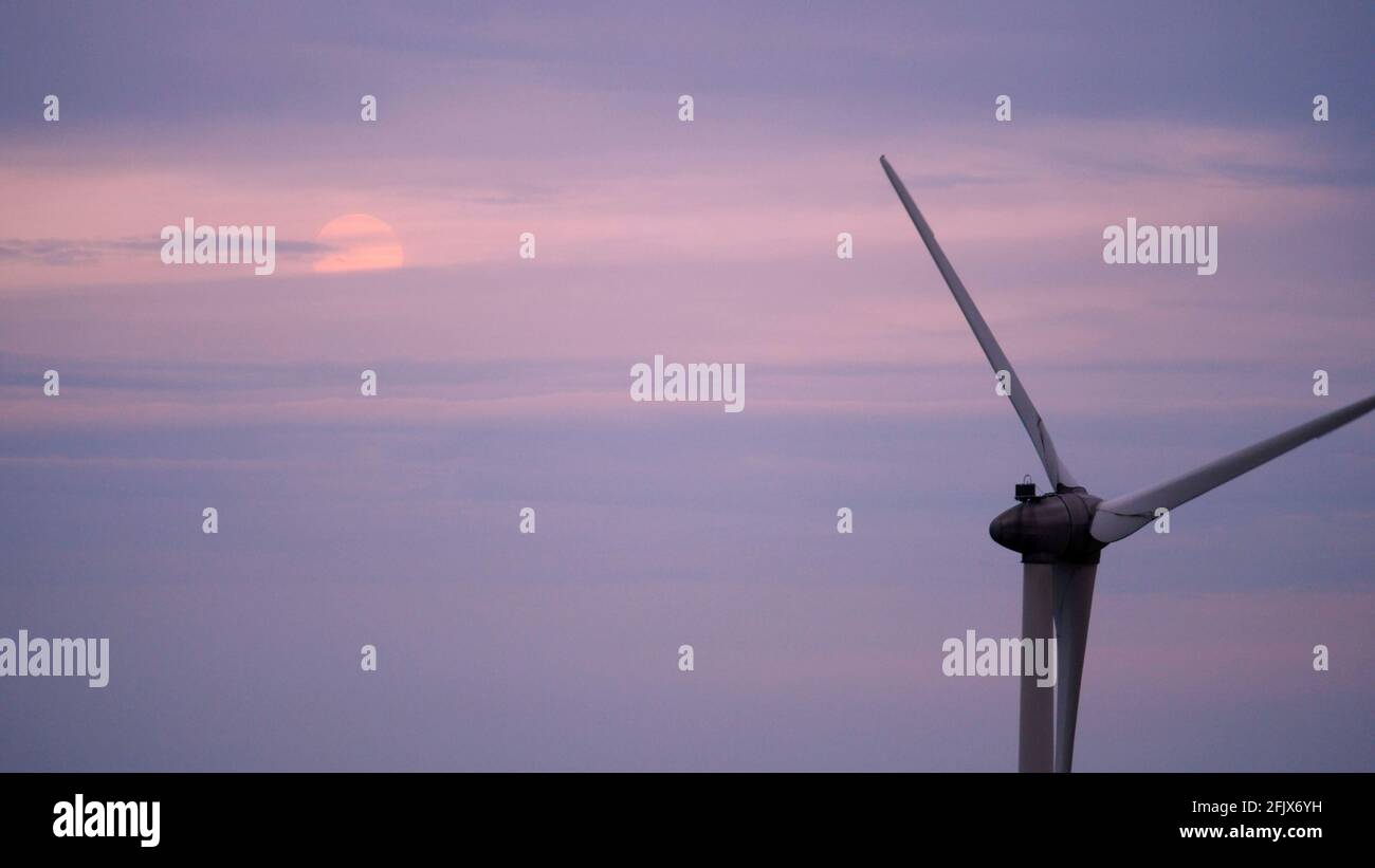 UK Wetter UK Wetter Pink Full Super Moon steigt über Windturbinen am Longcliffe Quarry, Ryder Point Derbyshire Dales UK, Brassington, Harborough Rocks & The High Peak Trail, Derbyshire, Peak District National Park Stockfoto