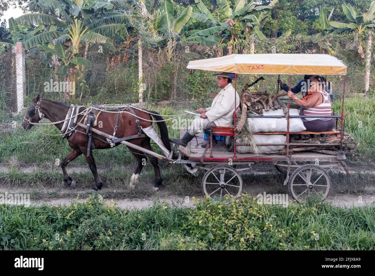 Transportszene in Kuba während des Tages. Jahr 2016 Stockfoto