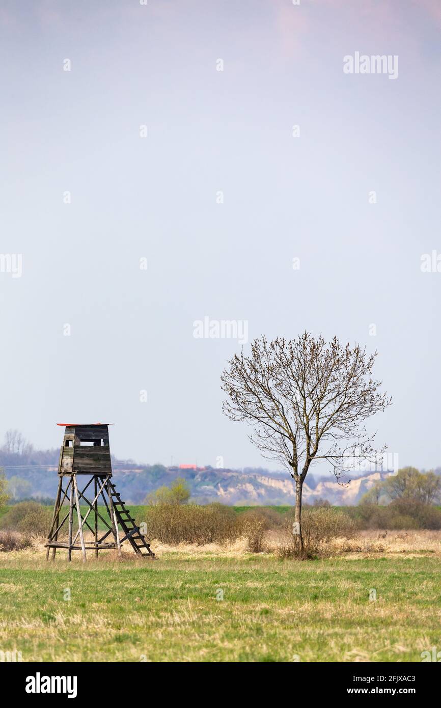 Hölzerner Jagdbeobachtungsturm auf der Wiese. Das Foto wurde mittags aufgenommen, weiches Licht, das von einer dünnen Wolkenschicht gestreut wird. Stockfoto