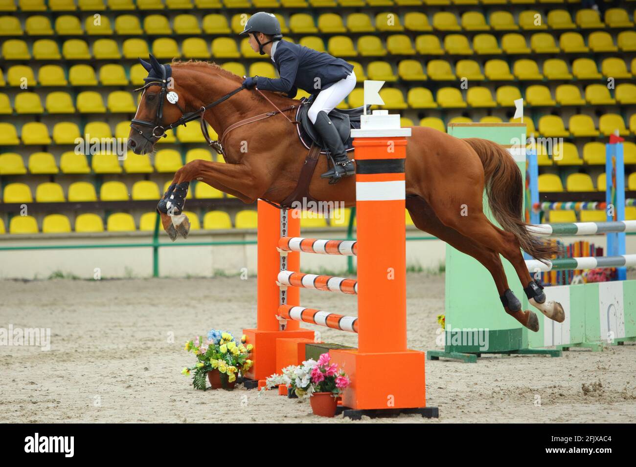 Junges Mädchen springen drei Tage Veranstaltungen Hindernis mit Bay-Sport Pferd Stockfoto